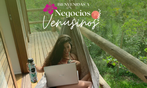 Negocios Venusinos #2